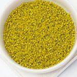 11/0 Miyuki Delica 2141 Duracoat Opaque Spanish Olive x 5 g