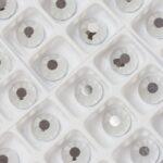 7 mm Preciosa Chaton Rose Crystal Labrador x 6 pc(s)