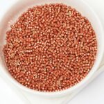 11/0 Miyuki Delica 1842 Duracoat Galvanized Dark Berry x 5 g