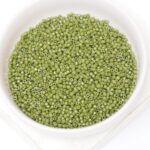 11/0 Miyuki Delica 2357 Duracoat Opaque Army Green x 5 g