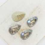 10x14 mm Ripple Pear glass cabochon Ghost Light x 4 pc(s)