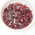 2x6 mm 2-hole Bar Beads Twilight Siam Ruby x 10 g