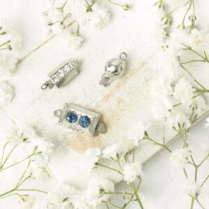 Neumann clasp collection Portland