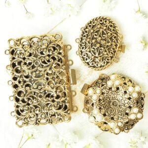 Neumann clasp collection Prague