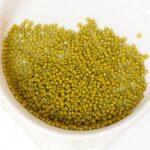 15/0 Miyuki seed beads 4491 Duracoat Opaque Dyed Olive x 5 g