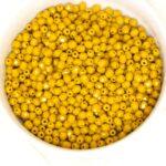 3 mm Fire-polished round beads Mustard x 100 pc(s)