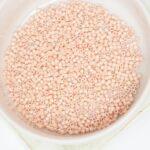 11/0 Miyuki Delica 207 Opaque Peach Luster x 5 g