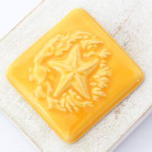 36x36 mm Star of the Reef Beadingschool Art Cabochon Mango on light clay x 1 pc(s)